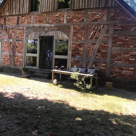 Gemuetliche Ferienwohnung An Der Elbe Bleckede Eksteriør billede