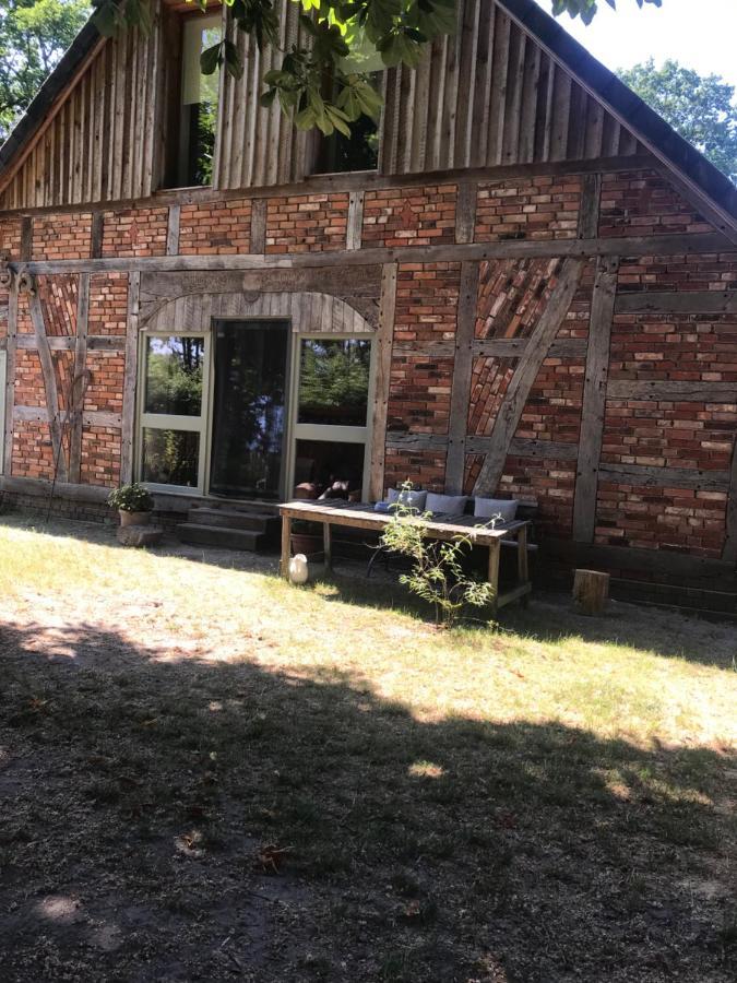 Gemuetliche Ferienwohnung An Der Elbe Bleckede Eksteriør billede