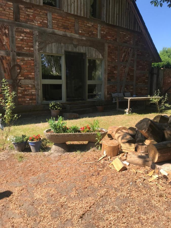 Gemuetliche Ferienwohnung An Der Elbe Bleckede Eksteriør billede