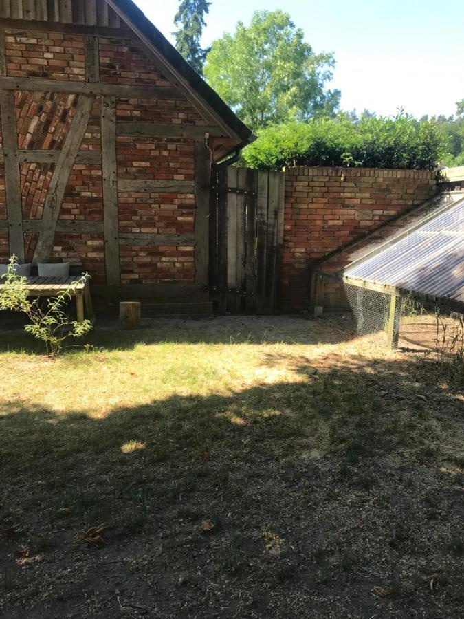 Gemuetliche Ferienwohnung An Der Elbe Bleckede Eksteriør billede
