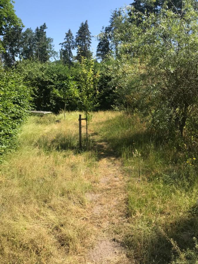 Gemuetliche Ferienwohnung An Der Elbe Bleckede Eksteriør billede